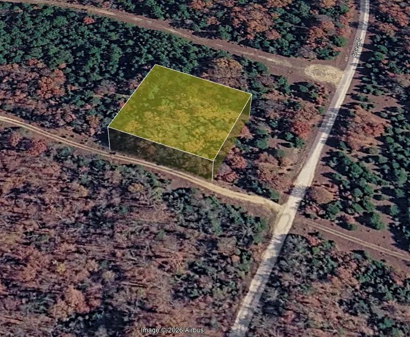 Decorative background for 2x Adjacent lots - Every day here is VACAY-day image 5