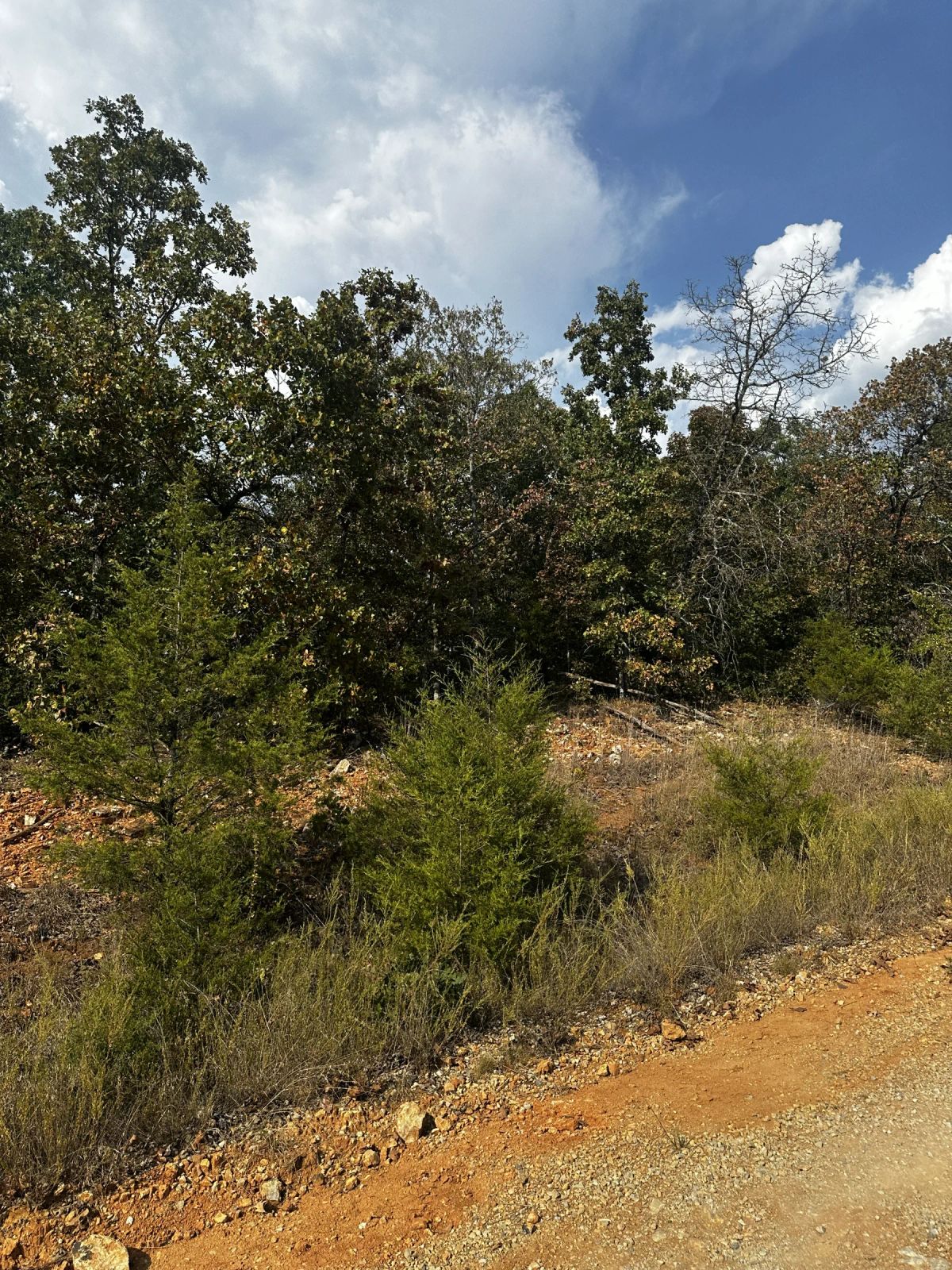 Decorative background for A backporch valley view - a creek below image 7