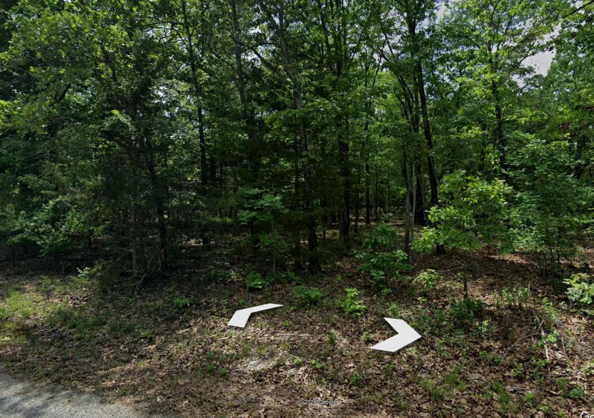 Decorative background for A Home on a Wooded Plateau image 6
