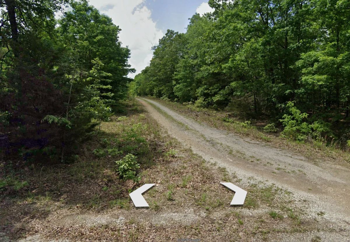 Decorative background for A Home on a Wooded Plateau image 7
