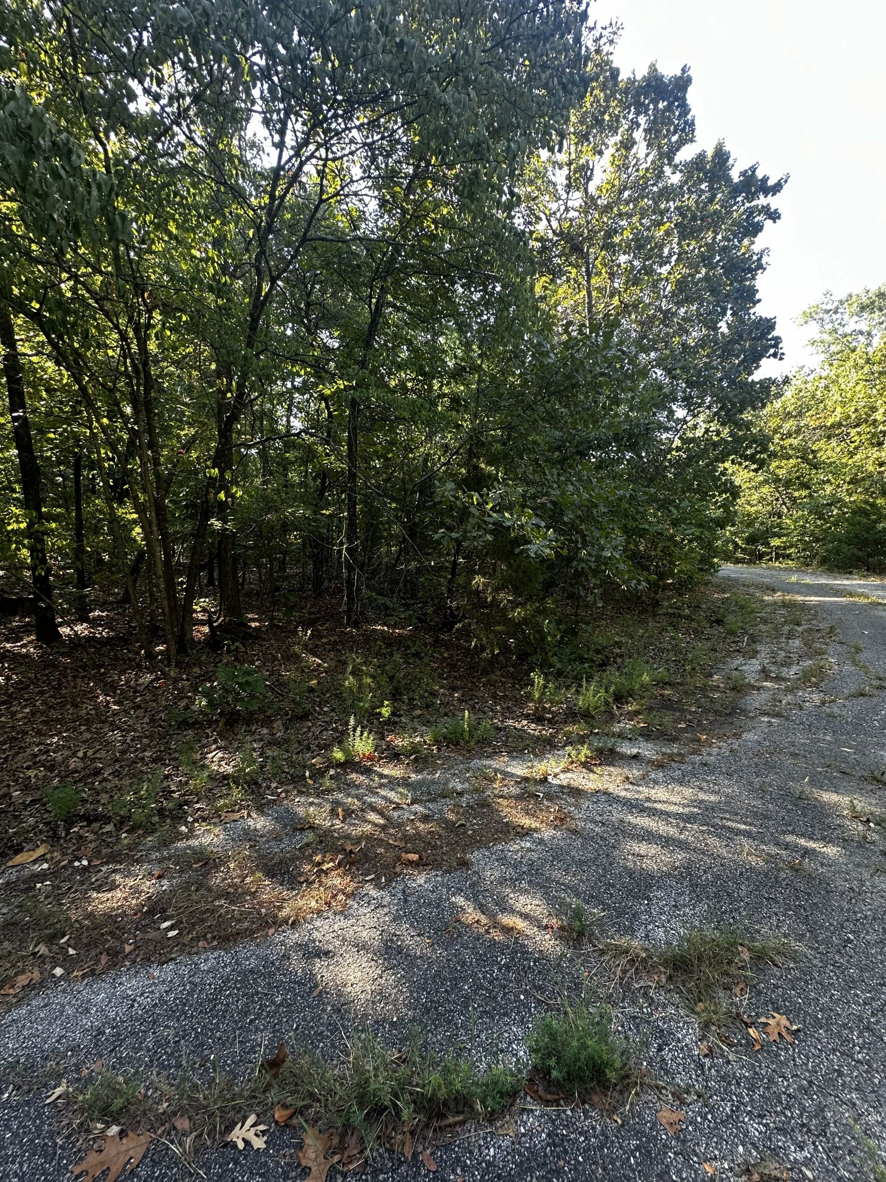 A Home on a Wooded Plateau in Izard County, AR