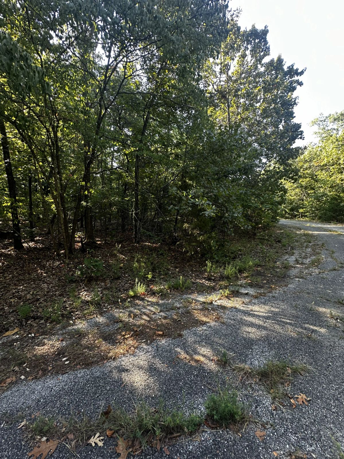 A Home on a Wooded Plateau - Main image