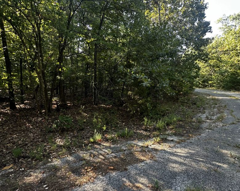 A Home on a Wooded Plateau in Izard County, AR
