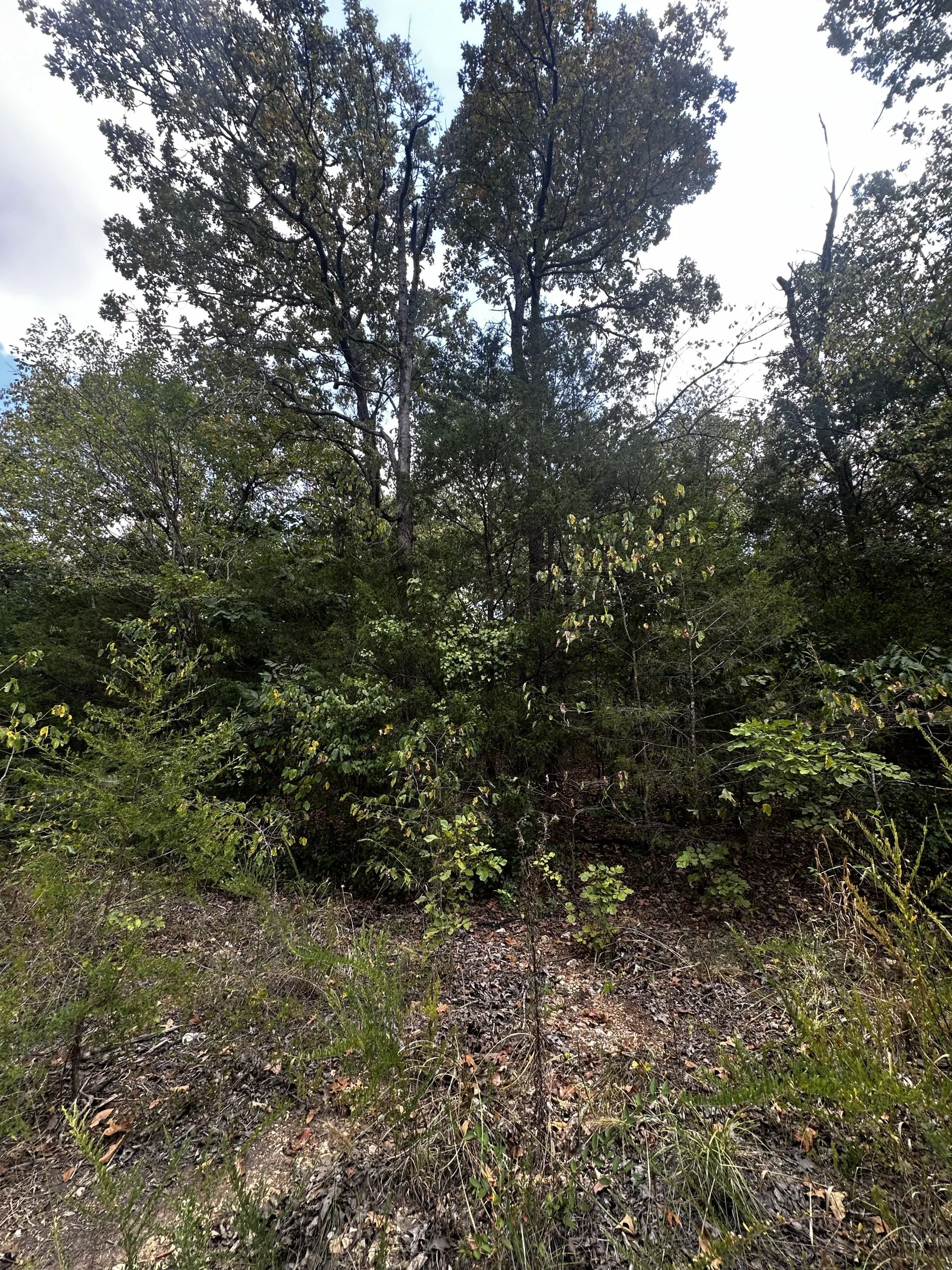 Quiet Escape - Power/Water line nearby in Izard County, AR