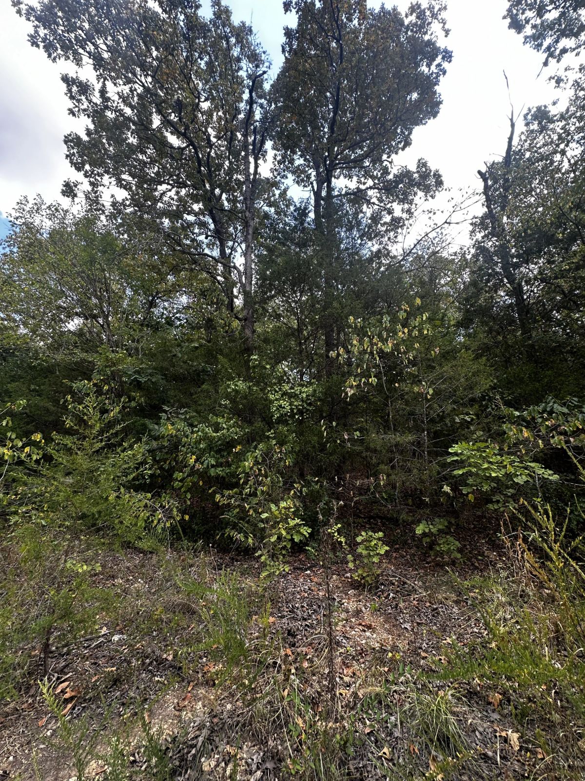 Quiet Escape - Power/Water line nearby - Main image