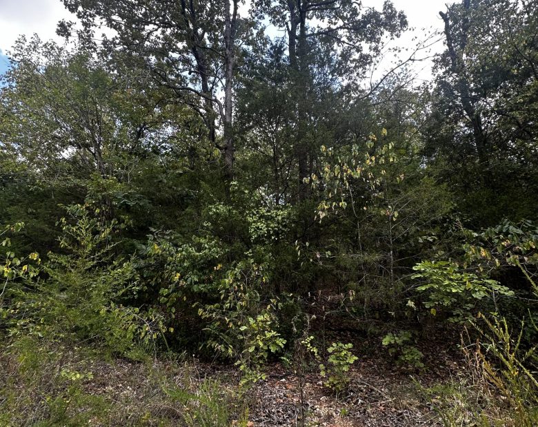 Quiet Escape - Power/Water line nearby in Izard County, AR