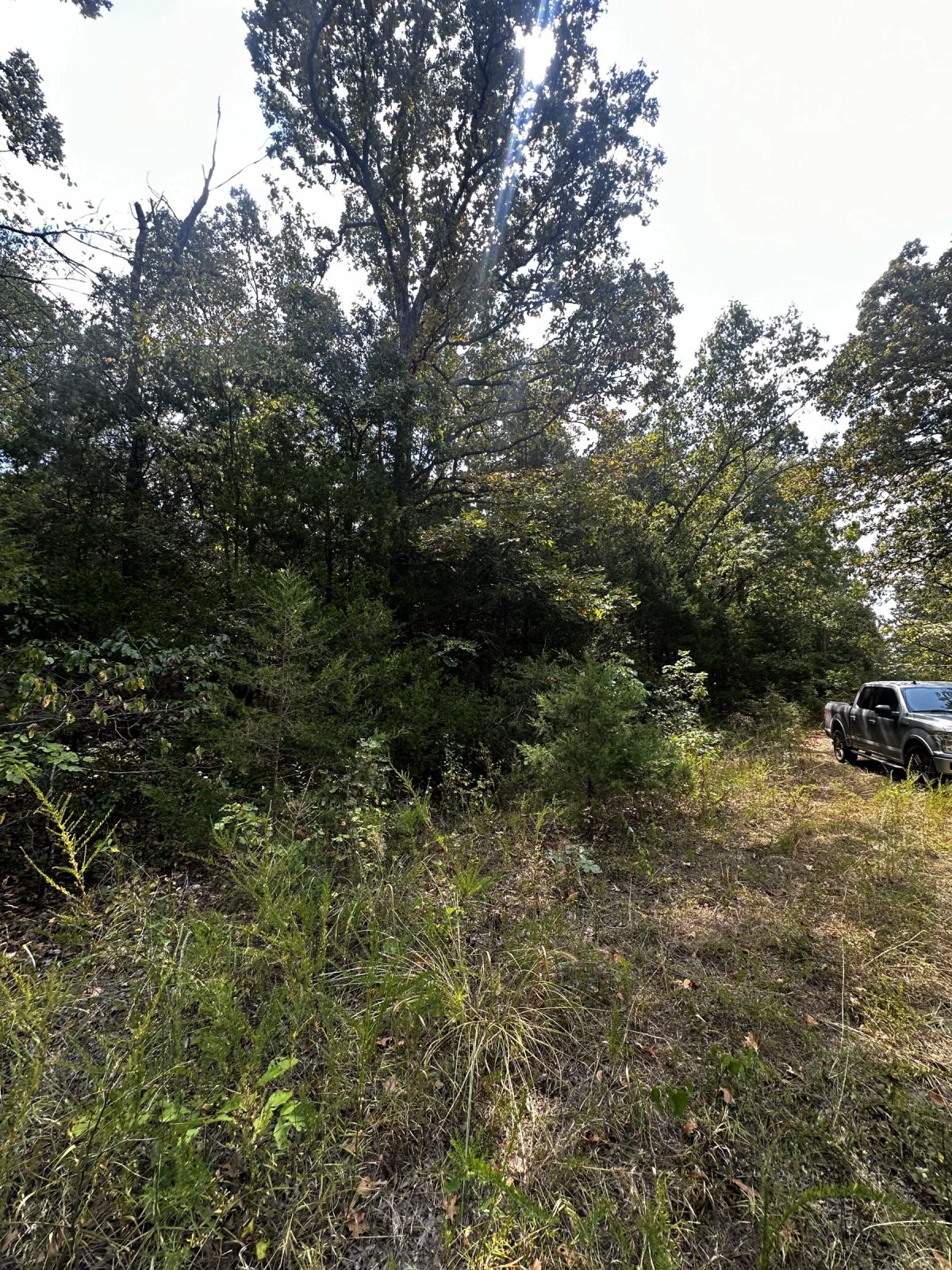 Quiet Escape - Power/Water line nearby - Image 4