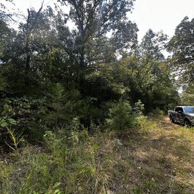Quiet Escape - Power/Water line nearby in Izard County, AR