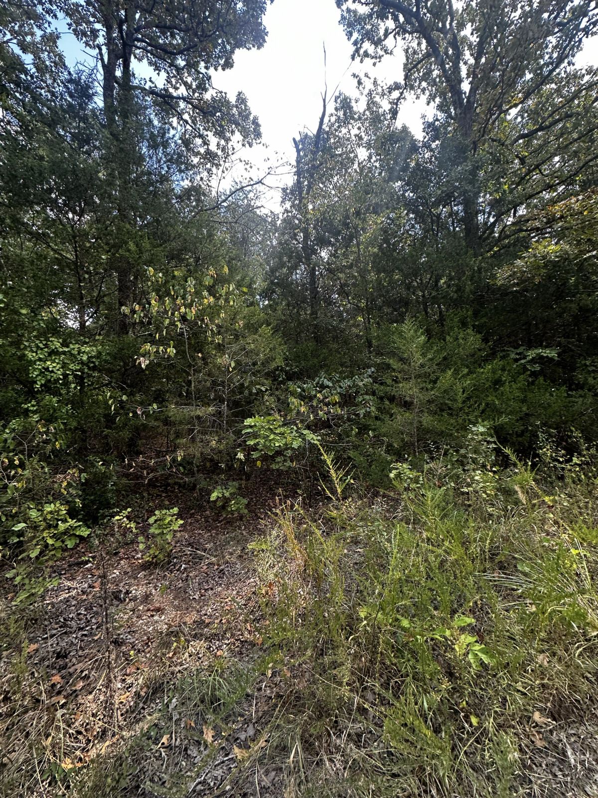 Quiet Escape - Power/Water line nearby - Image 3