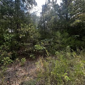 Quiet Escape - Power/Water line nearby in Izard County, AR