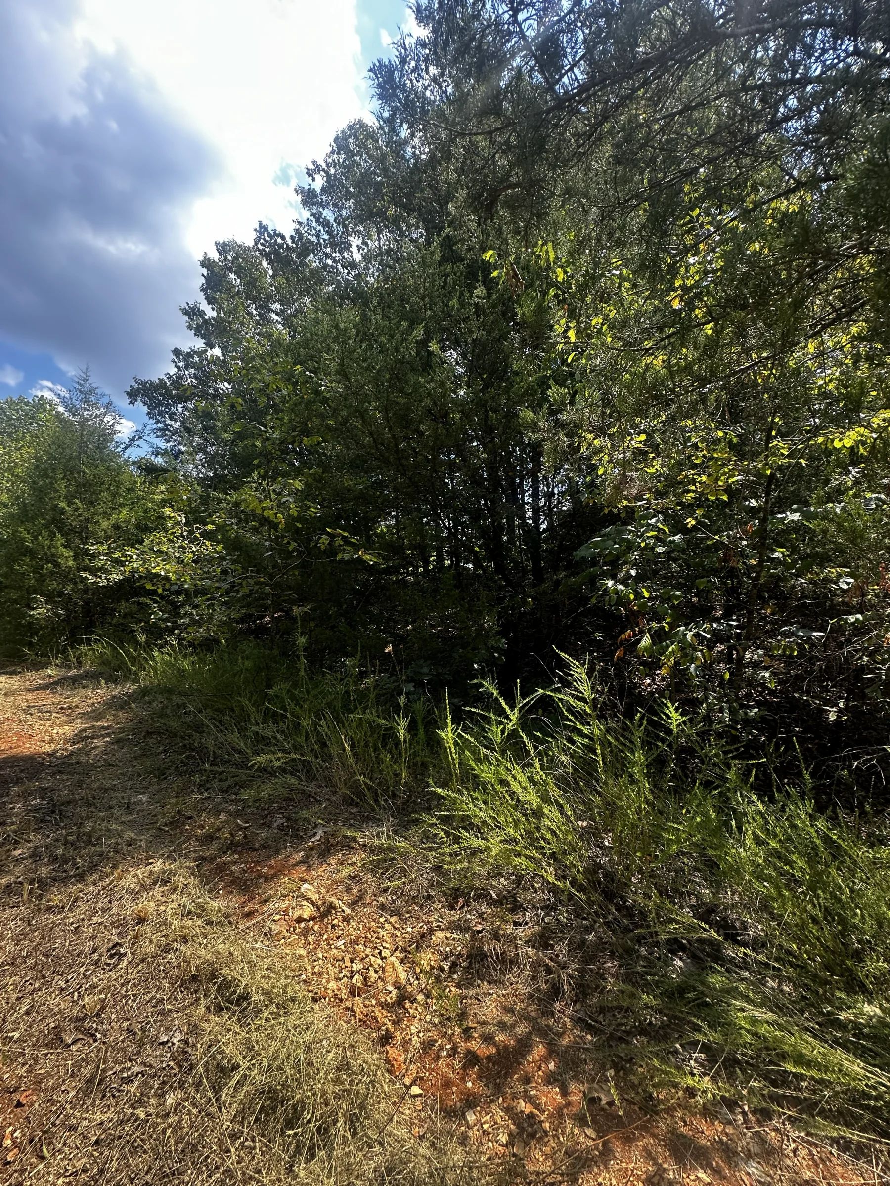 3x adjacent lots = 1.0 acres - No neighbors, no noise in Izard County, AR