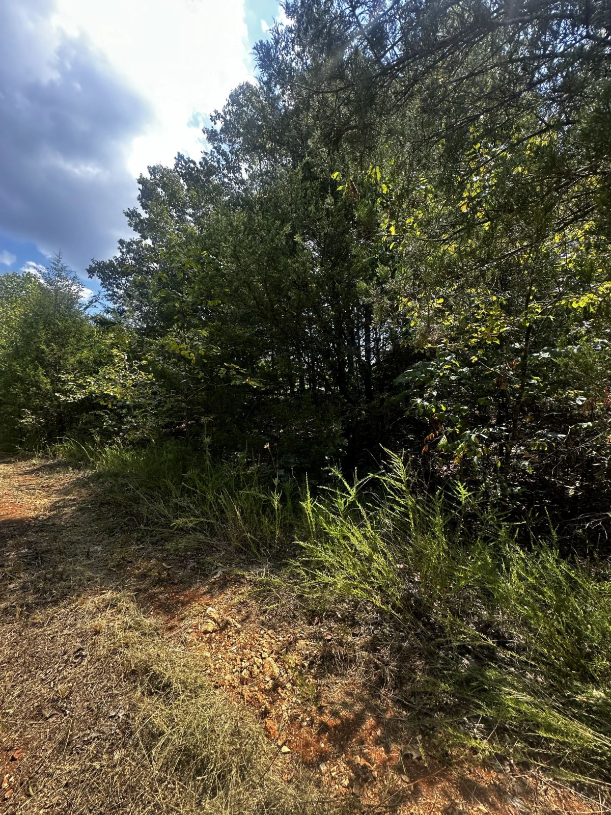 3x adjacent lots = 1.0 acres - No neighbors, no noise - Image 2