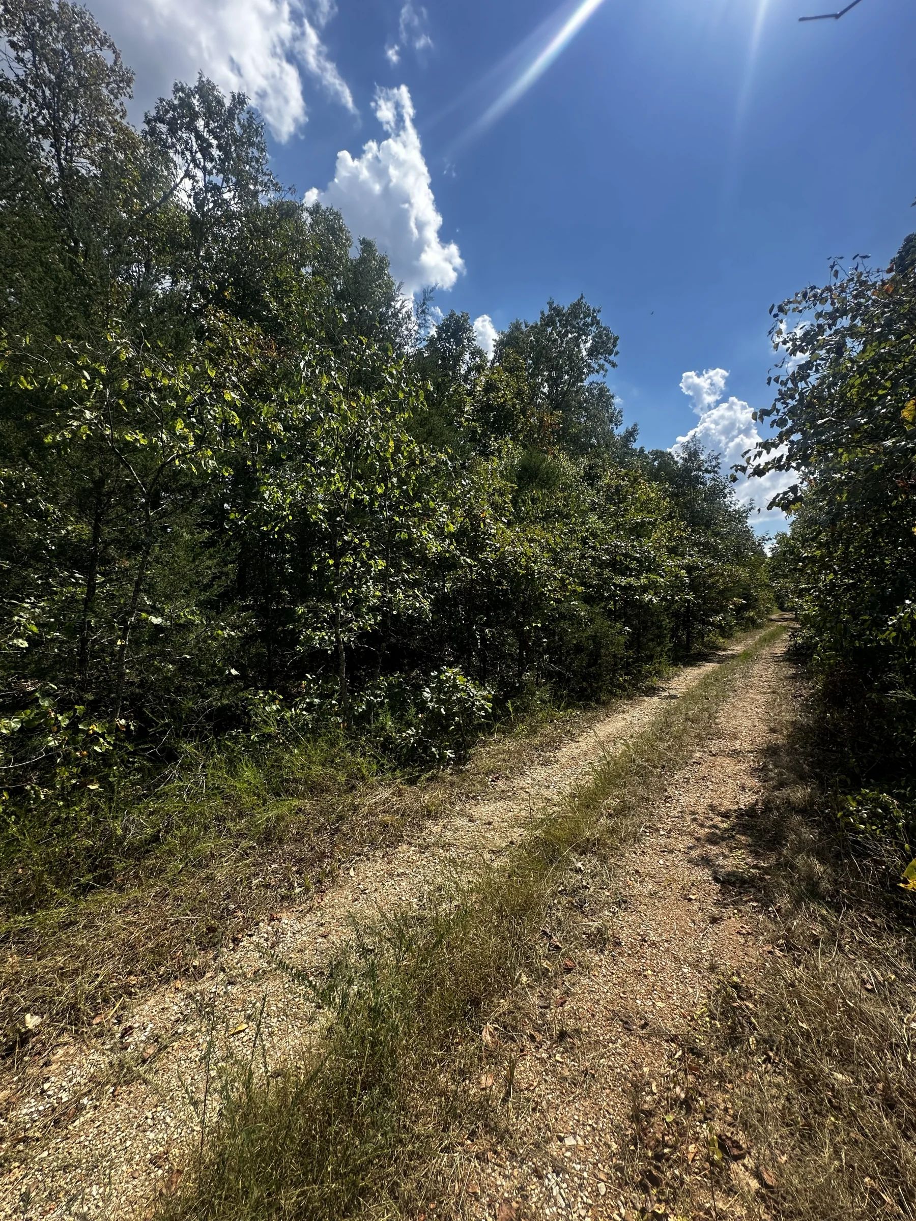 3x adjacent lots = 1.0 acres - No neighbors, no noise in Izard County, AR