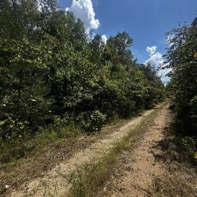 3x adjacent lots = 1.0 acres - No neighbors, no noise in Izard County, AR