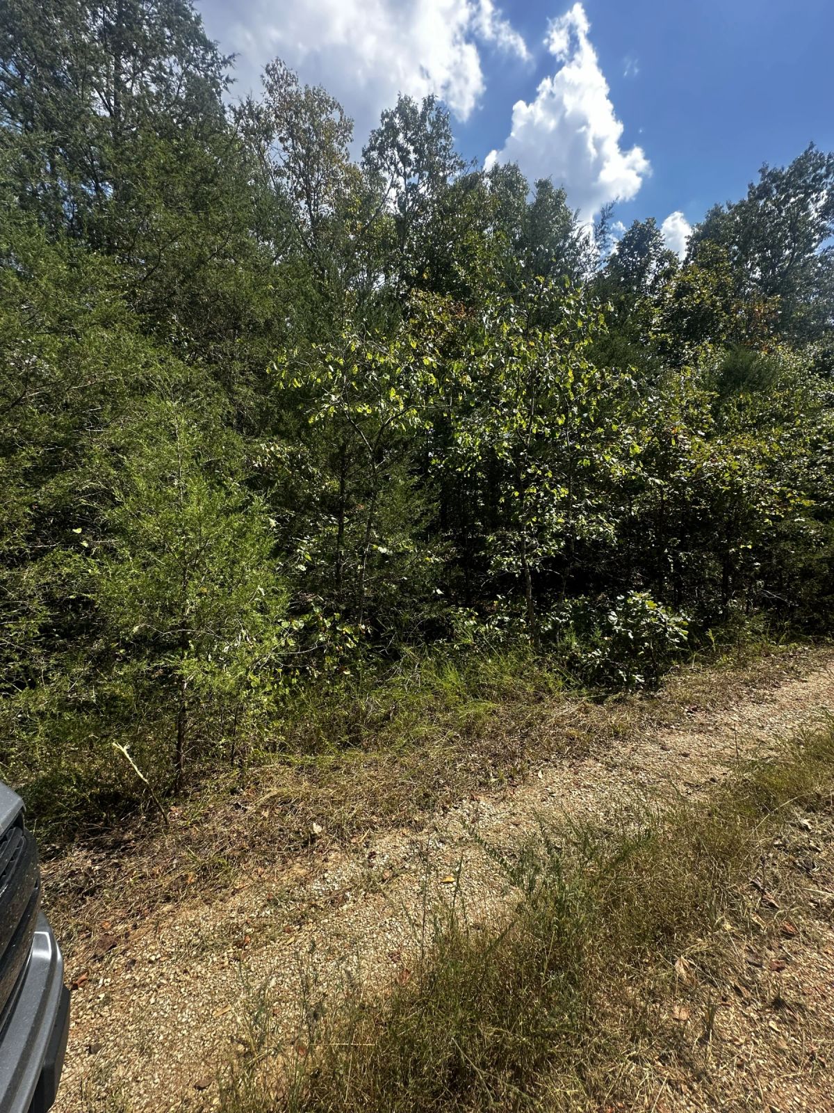 Decorative background for 3x adjacent lots = 1.0 acres - No neighbors, no noise image 5