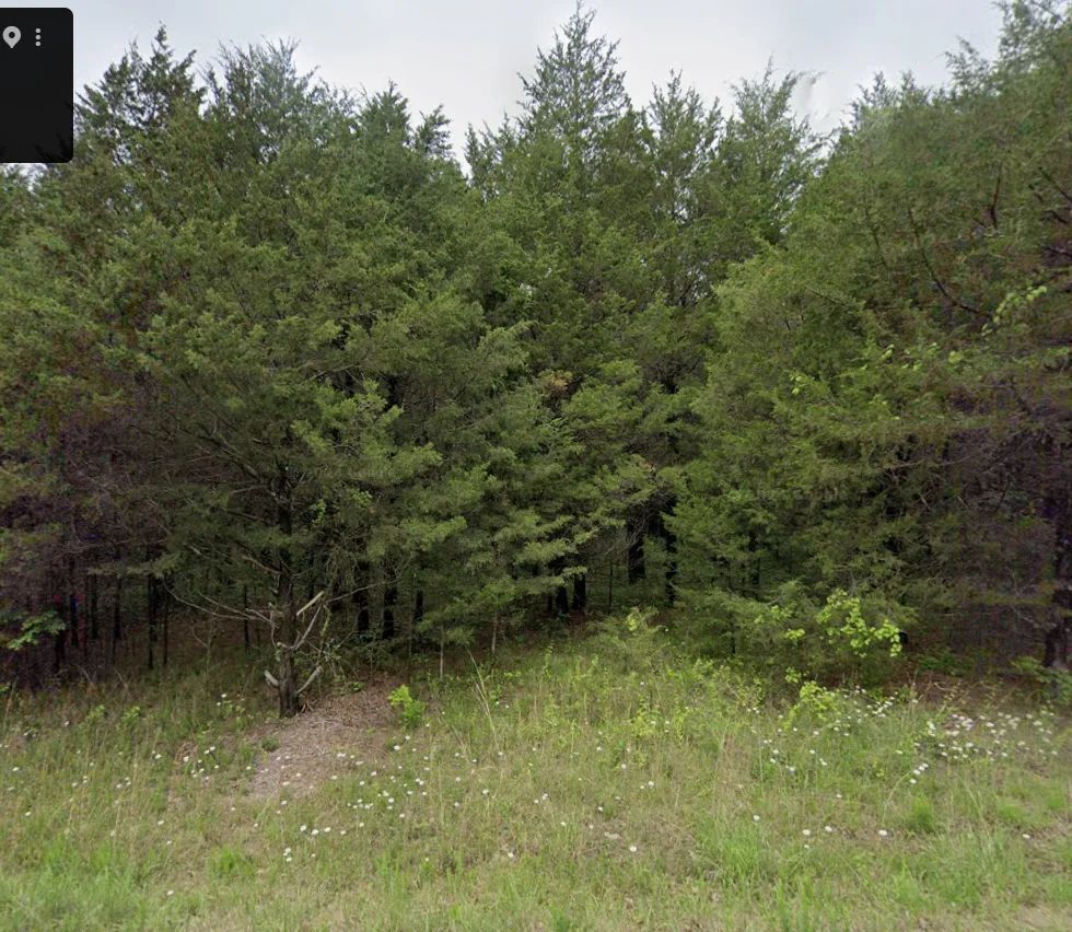 Decorative background for 3x adjacent lots = 1.0 acres - No neighbors, no noise image 7