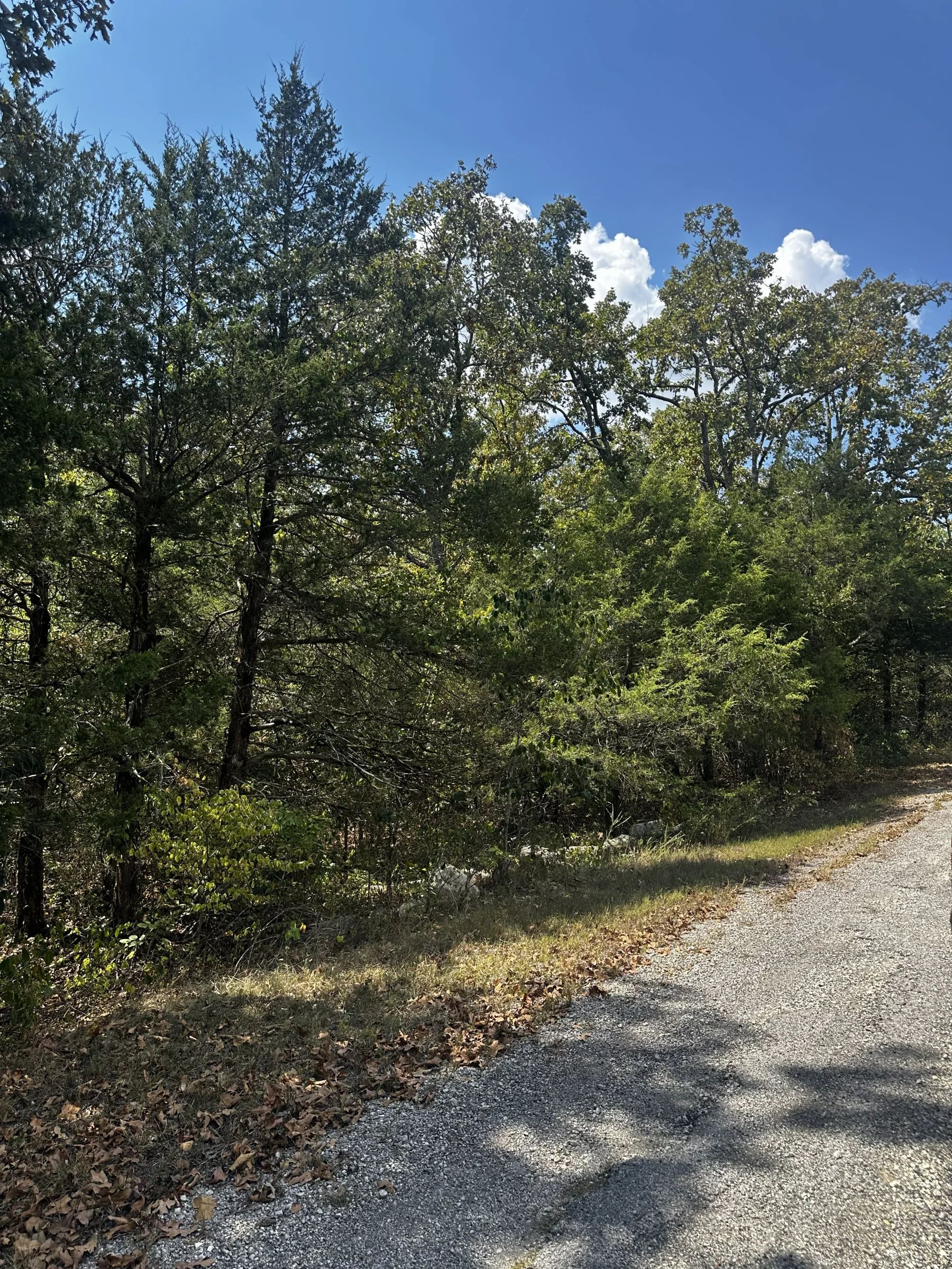 Your Land. Your Mobile Home. Your Future in Izard County, AR