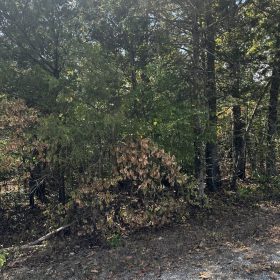 Your Land. Your Mobile Home. Your Future in Izard County, AR
