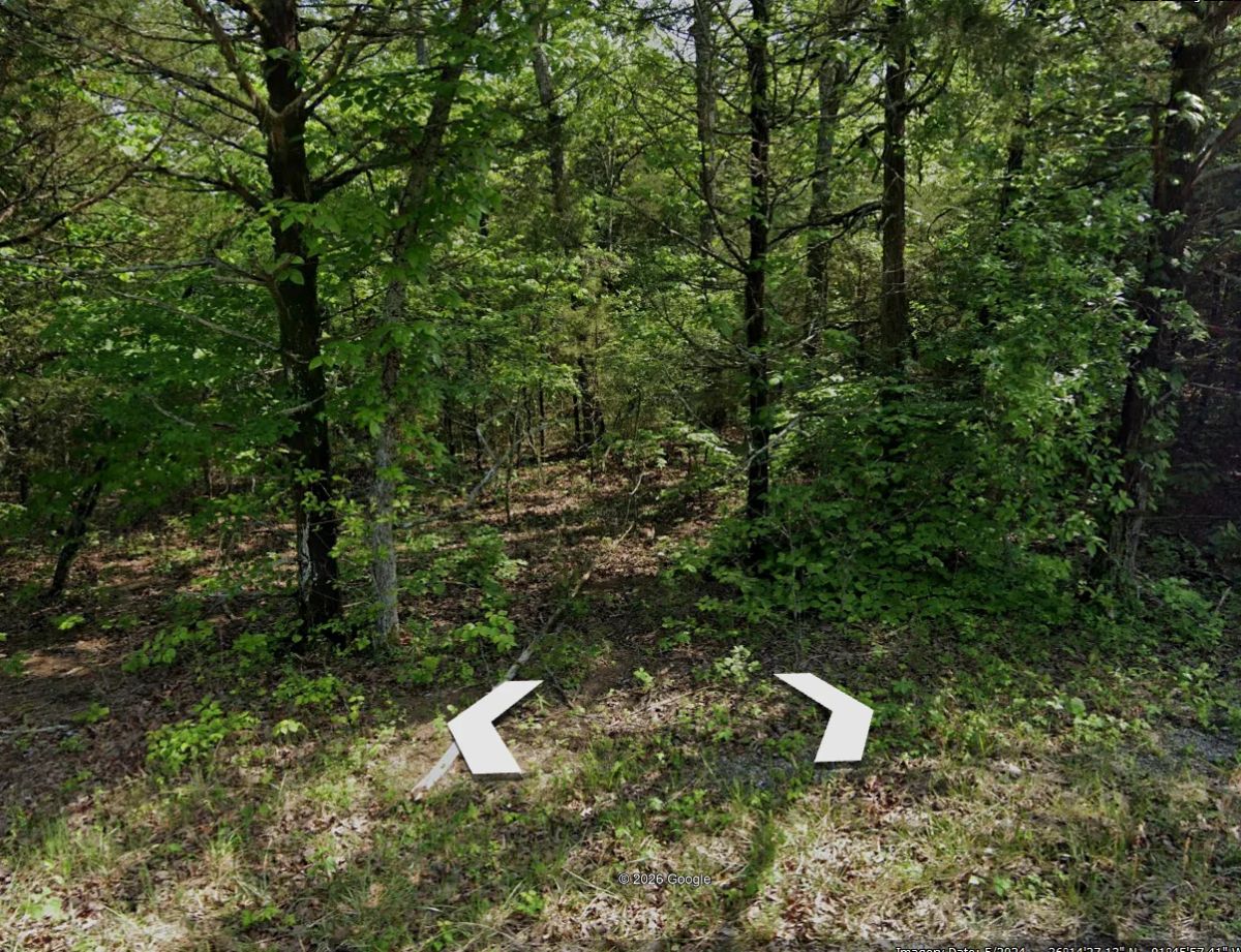 Decorative background for Your Land. Your Mobile Home. Your Future image 14