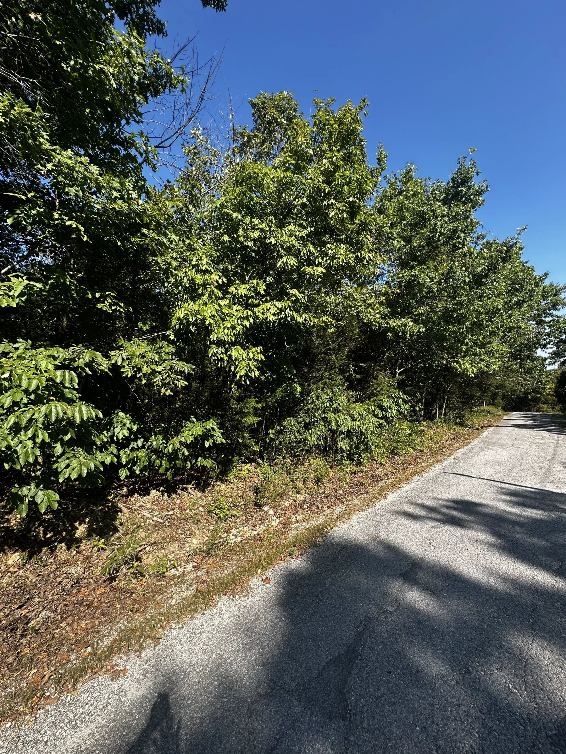 Tiny Home perfect - Paved Road, Utilities ready in Izard County, AR