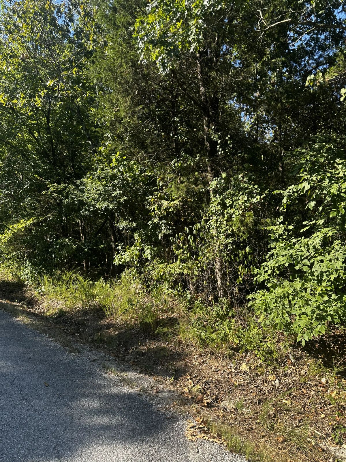 Decorative background for Tiny Home perfect - Paved Road, Utilities ready image 5