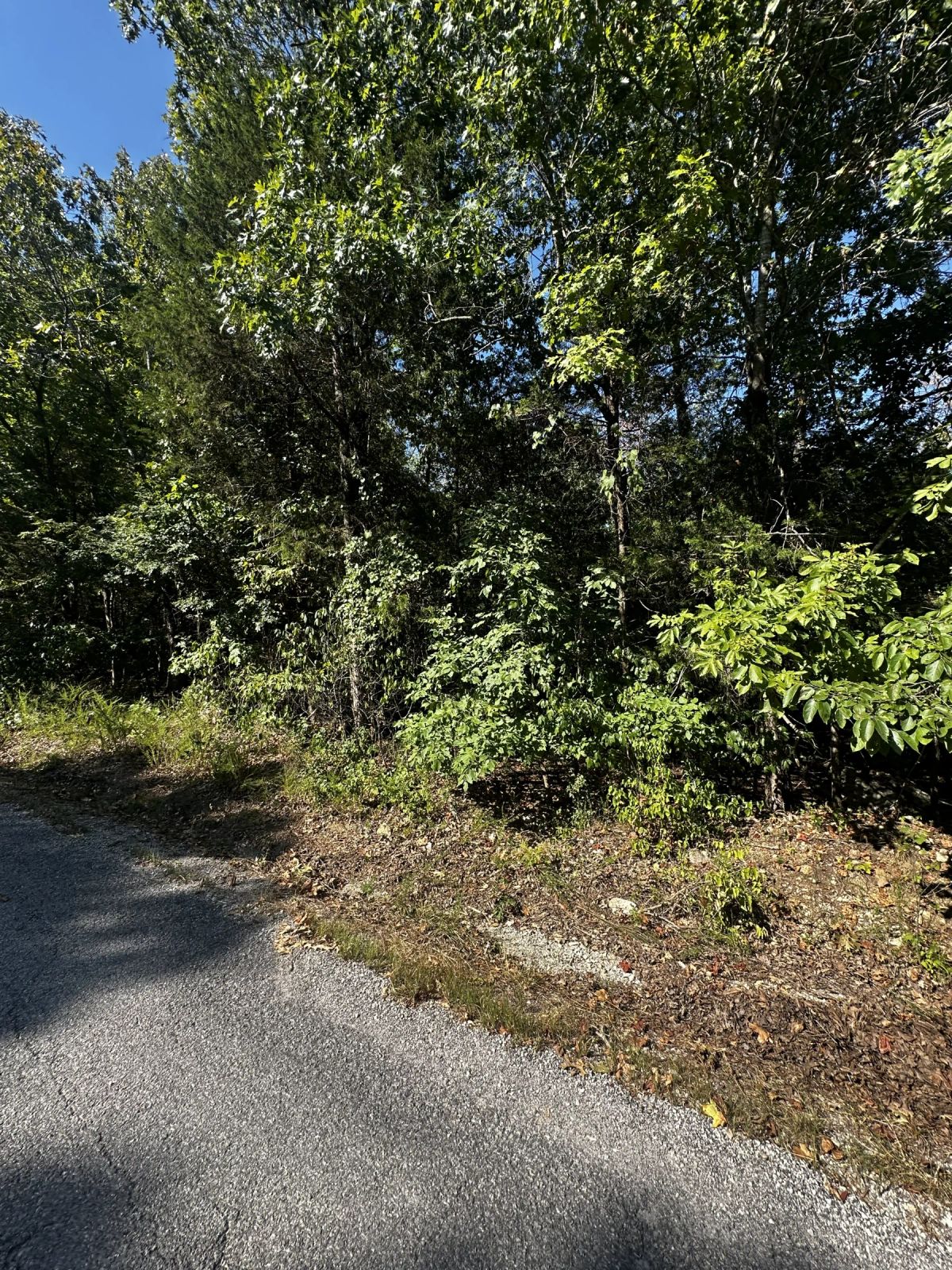 Decorative background for Tiny Home perfect - Paved Road, Utilities ready image 6