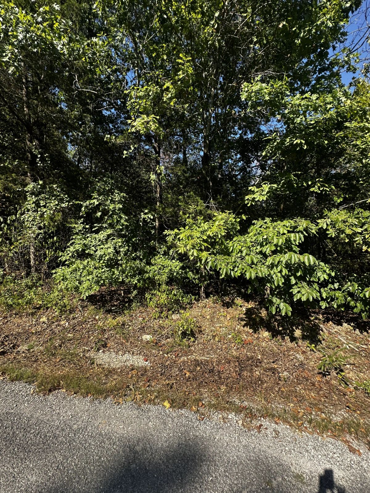 Decorative background for Tiny Home perfect - Paved Road, Utilities ready image 7