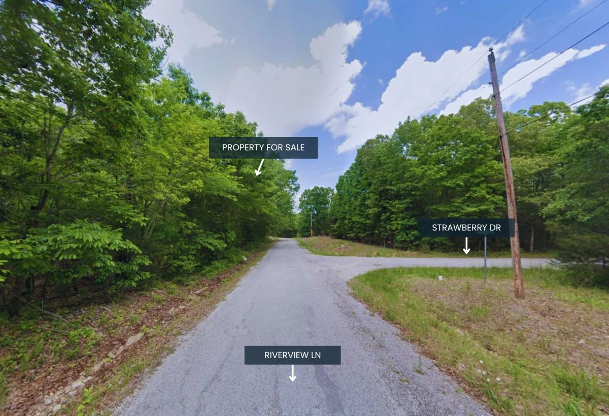 Decorative background for Tiny Home perfect - Paved Road, Utilities ready image 9