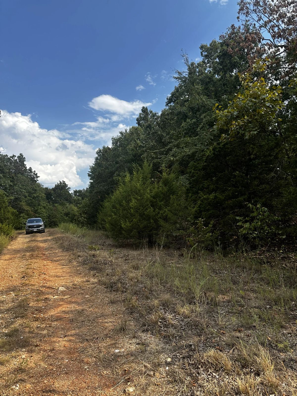 No HOA home lot for only $62/mo - Image 3