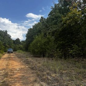 No HOA home lot for only $62/mo in Izard County, AR
