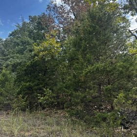 No HOA home lot for only $62/mo in Izard County, AR