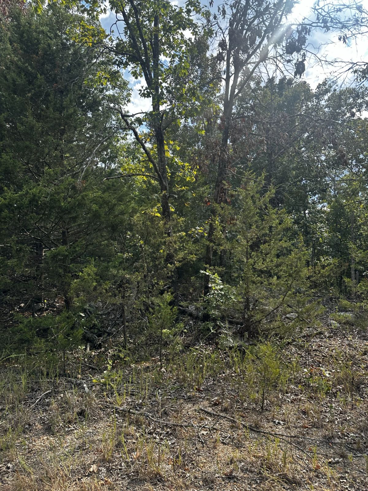 Decorative background for No HOA home lot for only $62/mo image 5