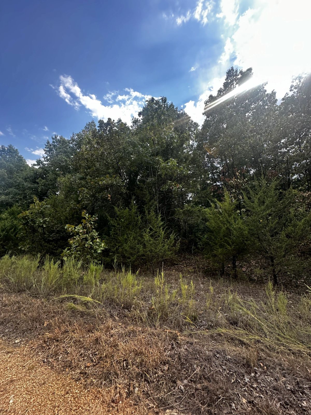 Decorative background for No HOA home lot for only $62/mo image 7