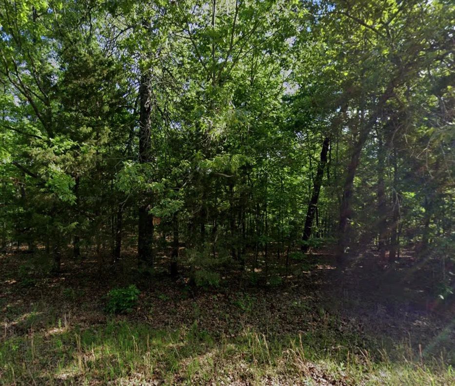 Decorative background for No HOA home lot for only $62/mo image 8