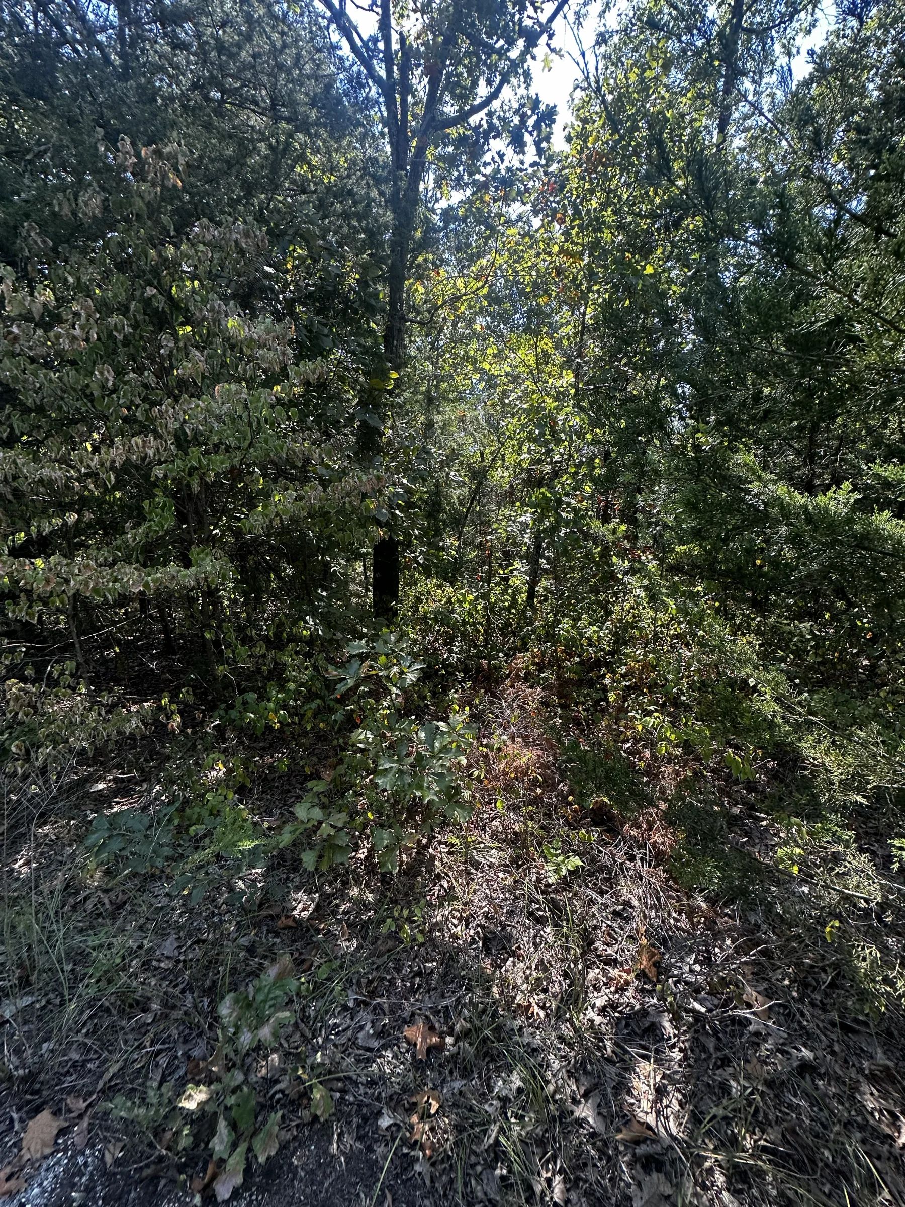 Your own cal-de-sac home in Izard County, AR