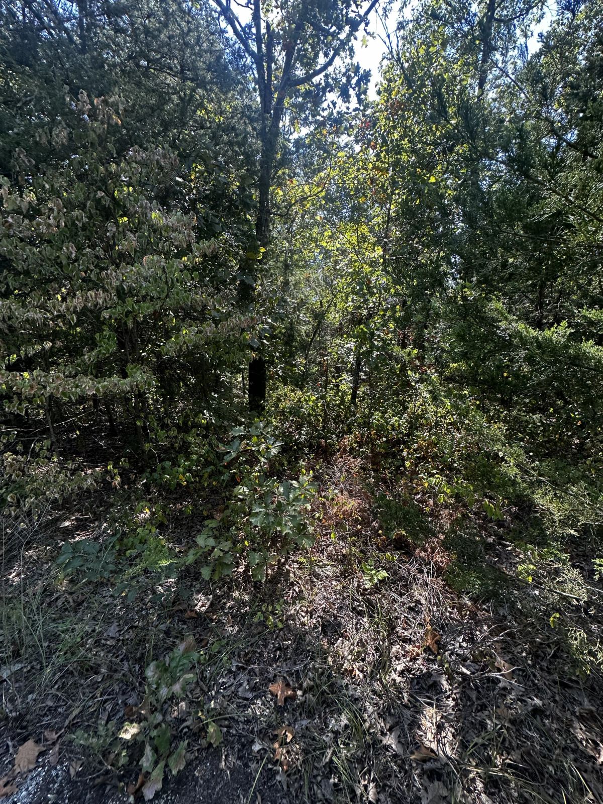 Your own cal-de-sac home - Image 4