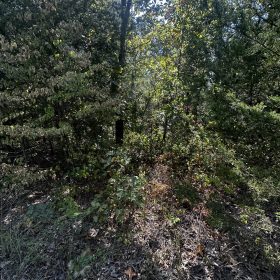 Your own cal-de-sac home in Izard County, AR