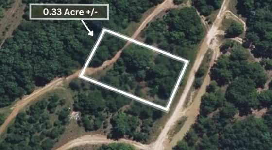 0.33 Acres No HOA - Peaceful coffee morning in the Ozark hills in Izard County, AR