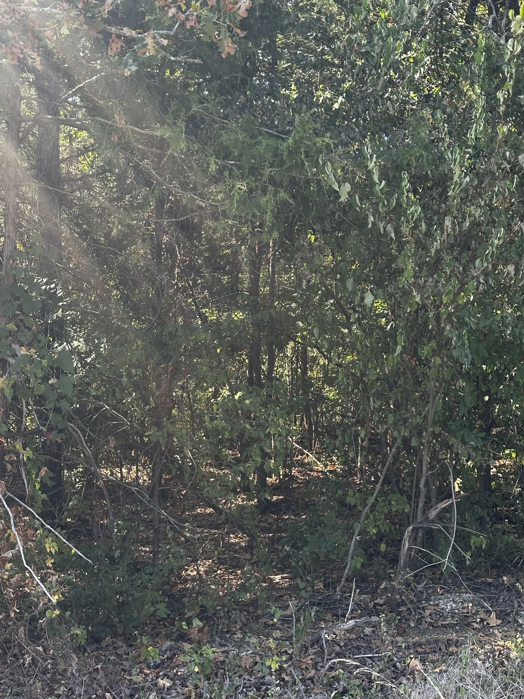 Fairway Dr = Golf, Lakes, No HOA, paved road, power, water in Izard County, AR
