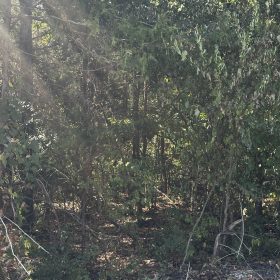 Fairway Dr = Golf, Lakes, No HOA, paved road, power, water in Izard County, AR