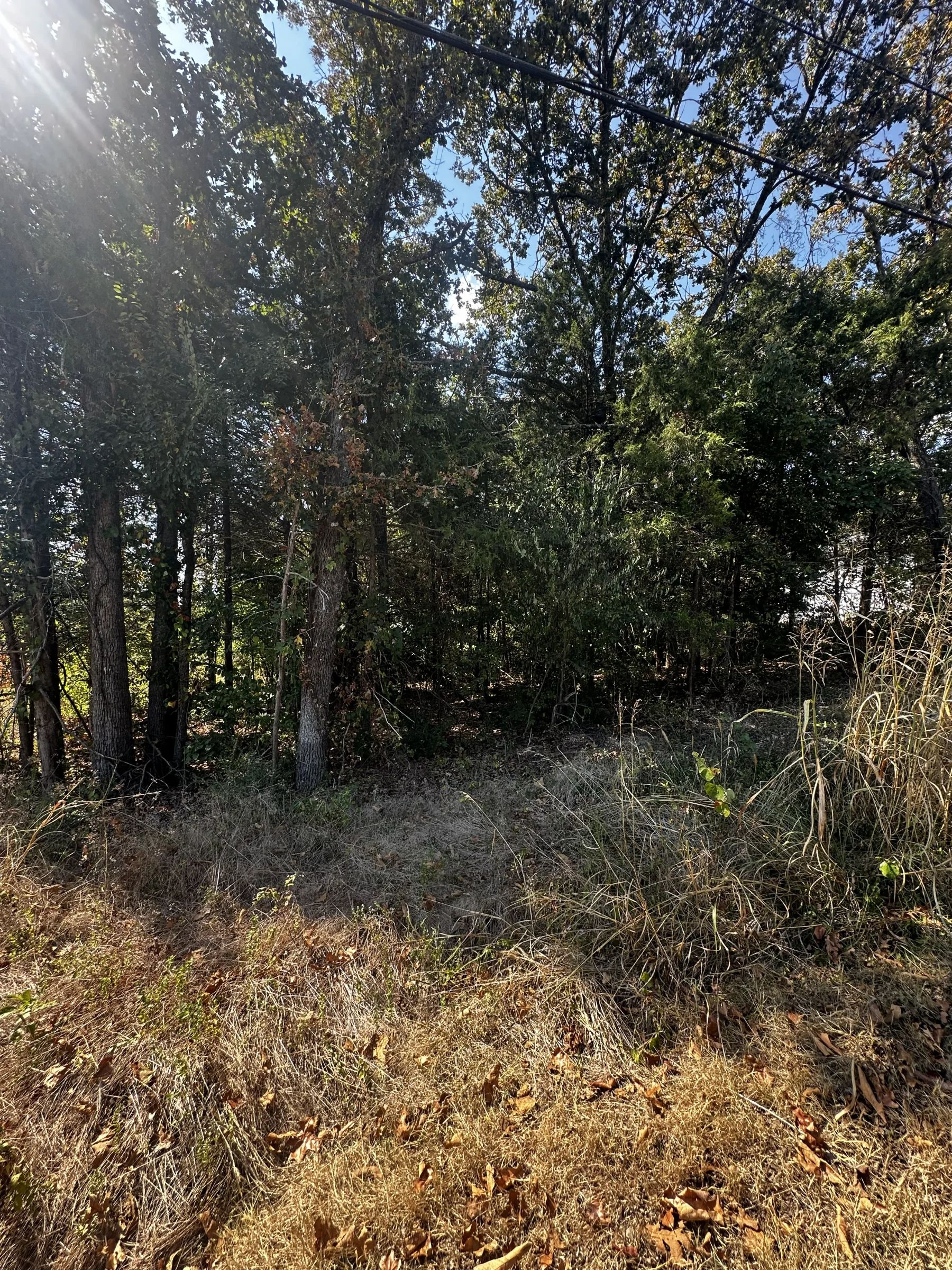 Fairway Dr = Golf, Lakes, No HOA, paved road, power, water in Izard County, AR