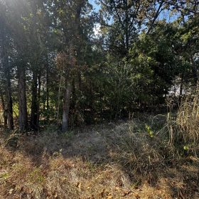 Fairway Dr = Golf, Lakes, No HOA, paved road, power, water in Izard County, AR