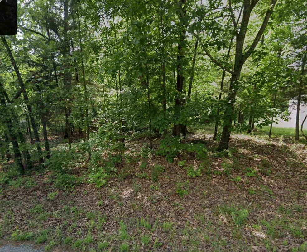 Park your Mobile home here - No HOA, Paved Road, Power&Water - Image 3