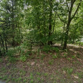 Park your Mobile home here - No HOA, Paved Road, Power&Water in Izard County, AR