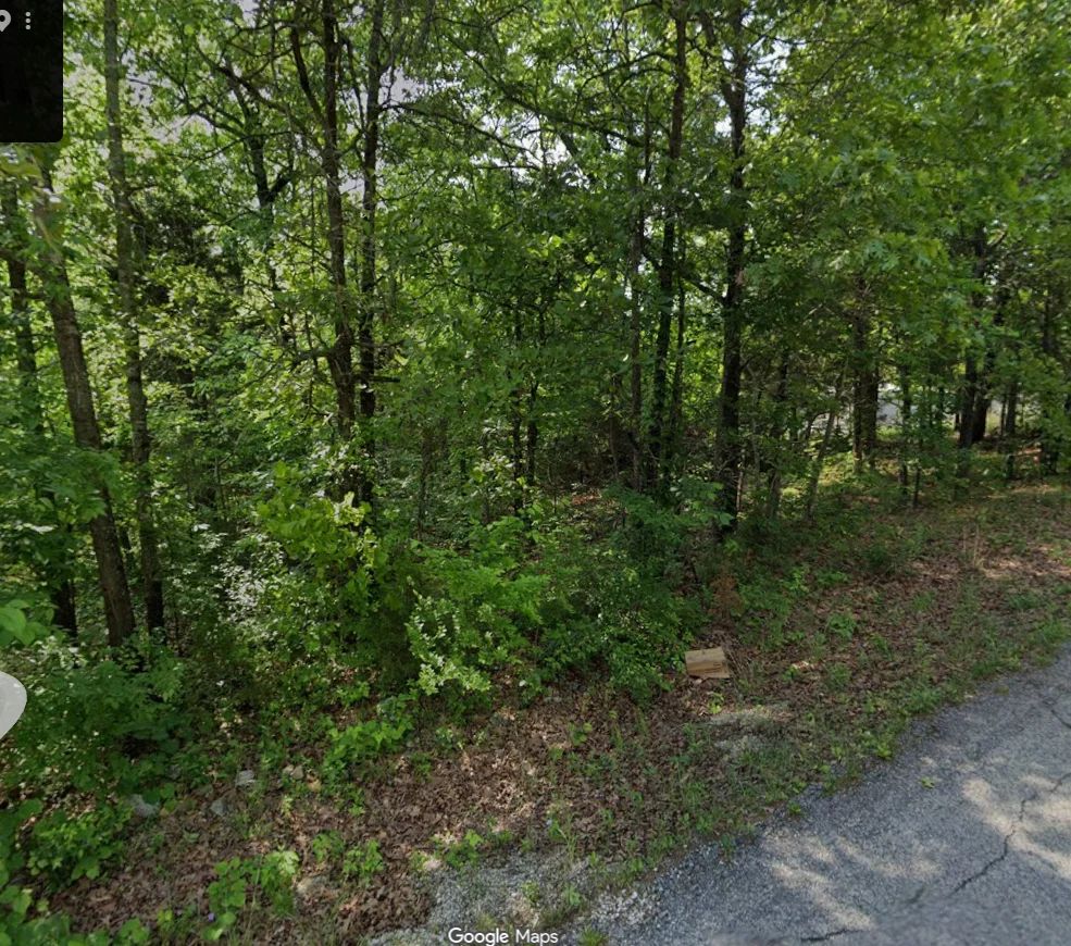 Decorative background for Park your Mobile home here - No HOA, Paved Road, Power&Water image 5