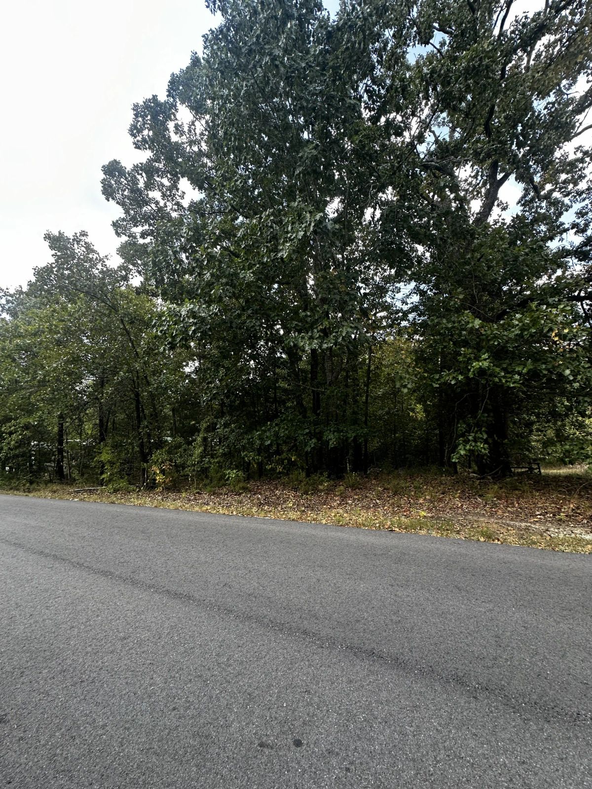 Decorative background for Park your Mobile home here - No HOA, Paved Road, Power&Water image 6
