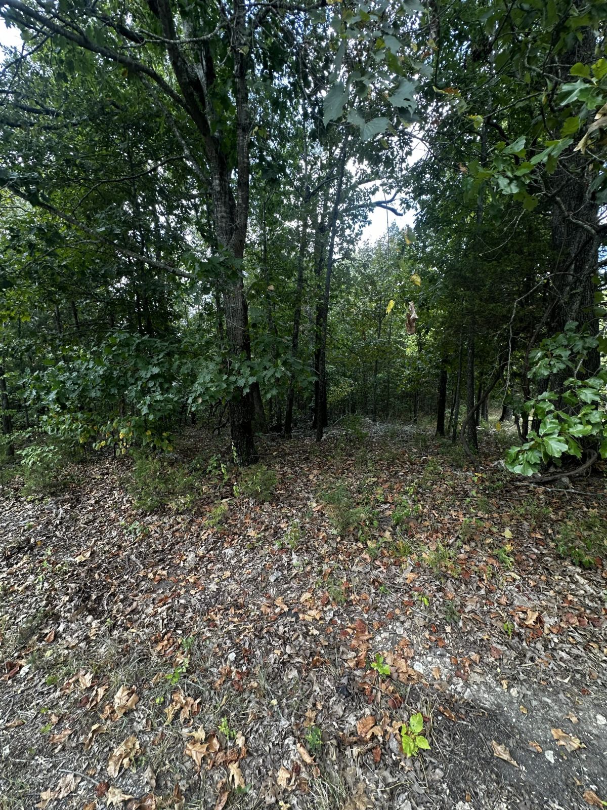 Decorative background for Park your Mobile home here - No HOA, Paved Road, Power&Water image 7