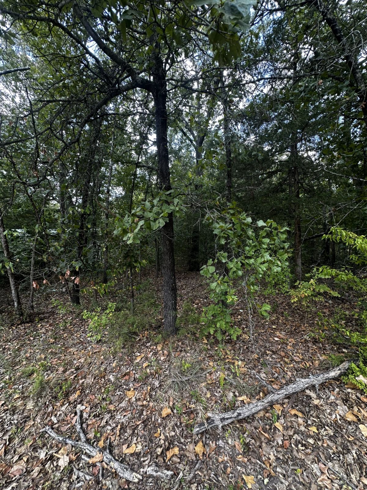 Decorative background for Park your Mobile home here - No HOA, Paved Road, Power&Water image 8