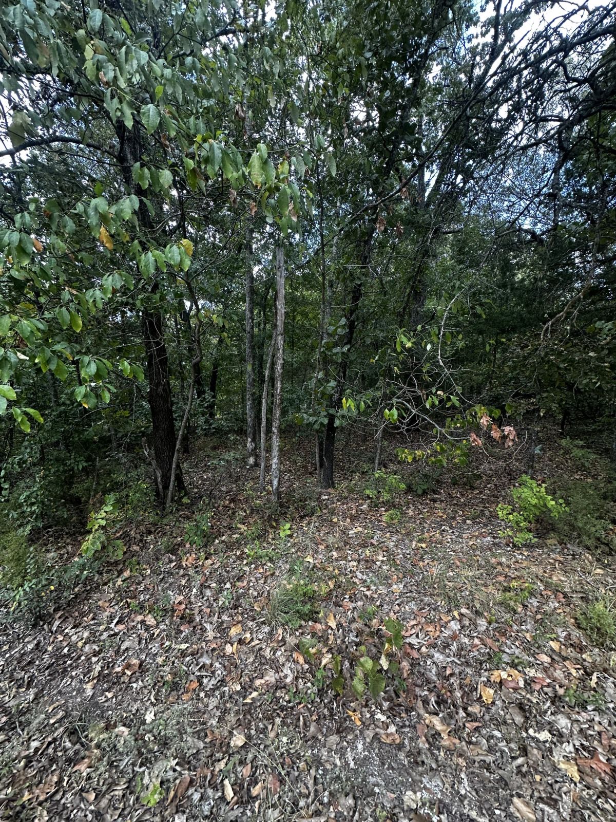 Decorative background for Park your Mobile home here - No HOA, Paved Road, Power&Water image 9