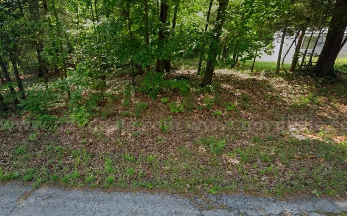 Decorative background for Park your Mobile home here - No HOA, Paved Road, Power&Water image 14